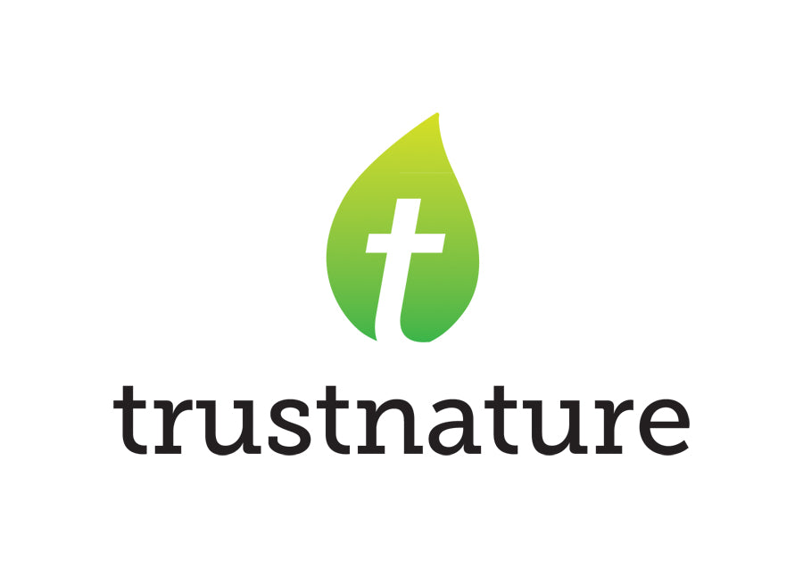 Exogenous Ketones BHB Supplement | 30 - 120 Capsules | UK-Made